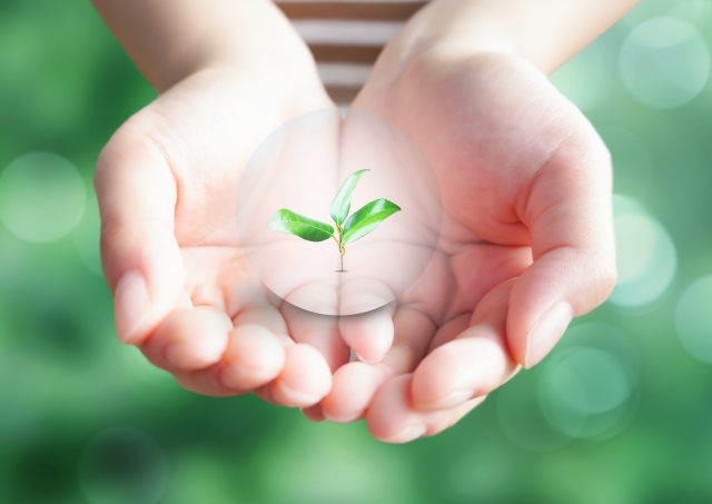 省エネのイメージ　緑を手のひらに乗せる様子